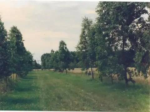 Casa Campo  en Venta en Fátima, Pilar, G.B.A. Zona Norte