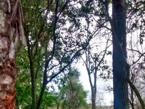 Casa Campo  en Venta en Fátima, Pilar, G.B.A. Zona Norte