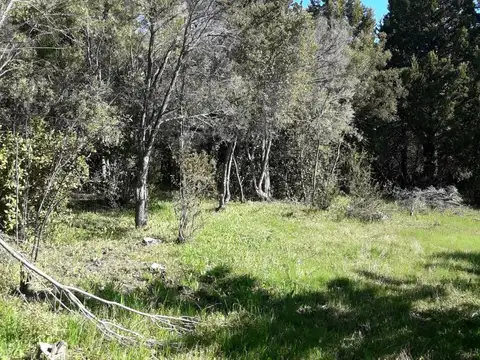 Las golondrinas, Lago Puelo