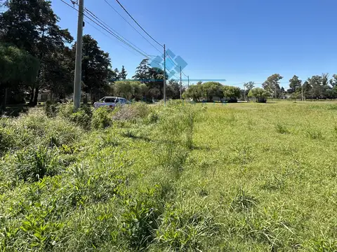 VENTA- LOTES EN SINSACATE - 1.000 m²