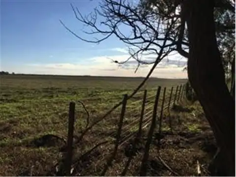 Ruta 205 Km 161