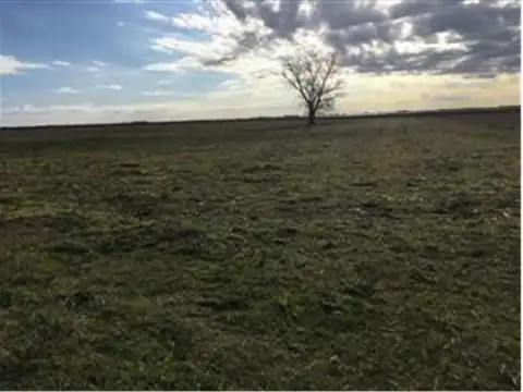 Campo en Venta agricola ganadero