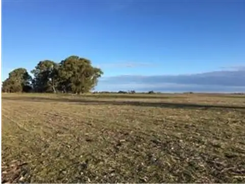 Campo en Venta agricola ganadero