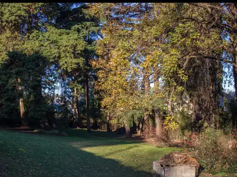 Lote en Gral Pacheco. 1400 m2 con bosquecito (20mst frente x 70mts largo). A 1 cuadra Henry Ford.