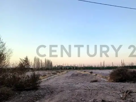Vendo Terreno