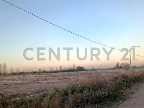 Vendo Terreno