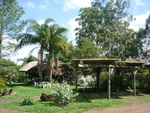 Mauricio Viollaz al 300