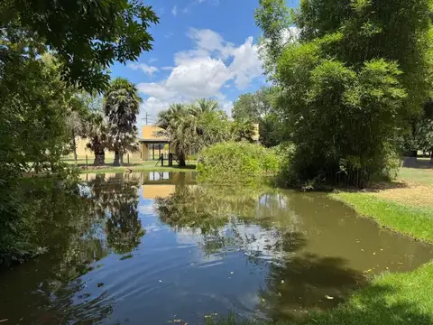 CAMPO EN VENTA BRANDSEN DE 7,5 HECTAREAS