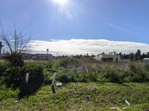 LOTE EN VENTA CARDALES CHICO