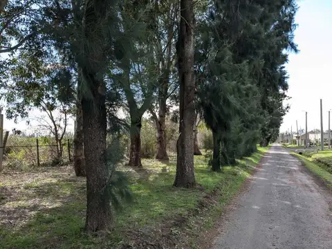 Terreno en Venta en Los Cardales, USD 29.000