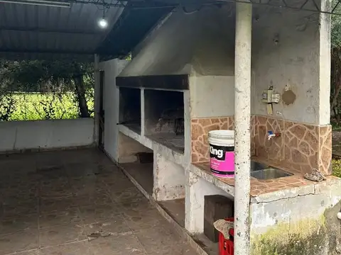 Severo Milella 100