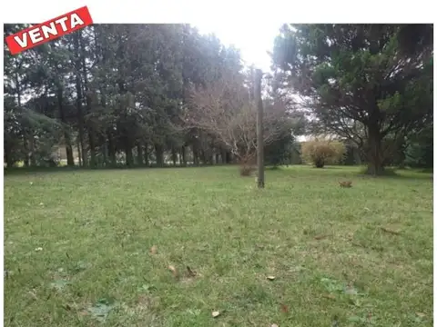 Terreno en Venta 43  mts Fondo