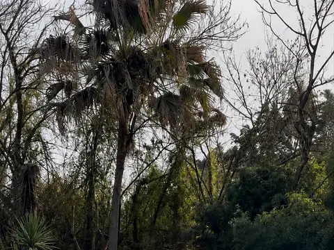 Quinta en venta -  VENADO TUERTO