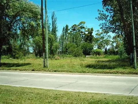 Campo en Venta de 4,65  ha
