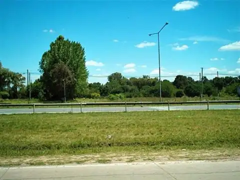 Campo en Venta Industrialización