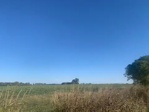 10y1/2 HECTAREAS AGRICOLAS