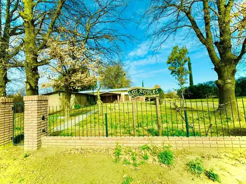 VENTA CAMPO FERTIL ESTANCIA LOS ROBLES SAN RAFAEL