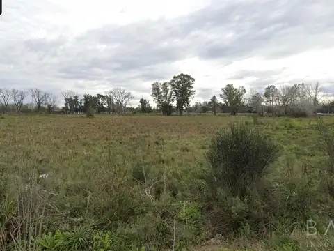 Venta Fracción 8 has - Acceso Oeste - Gral Rodriguez