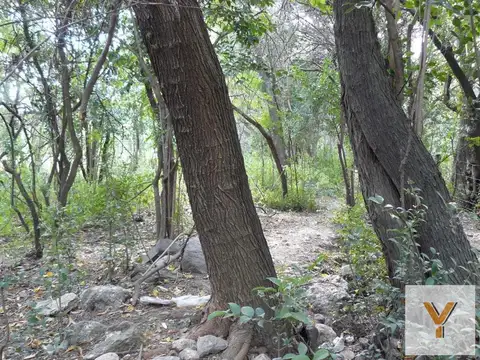 Terreno en Venta de 1560,0 m2