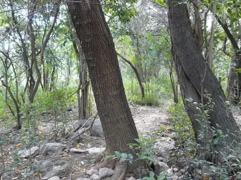 Terreno en Venta de 1560,0 m2