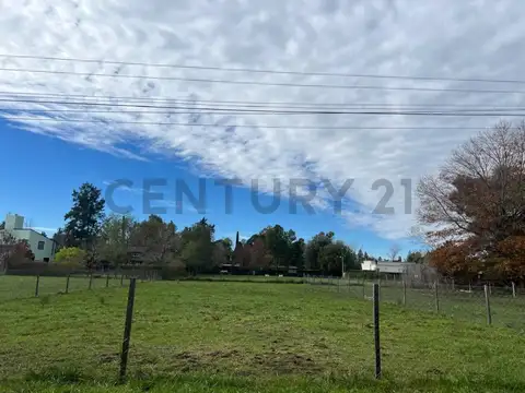 Rio Diamante , Piso 0