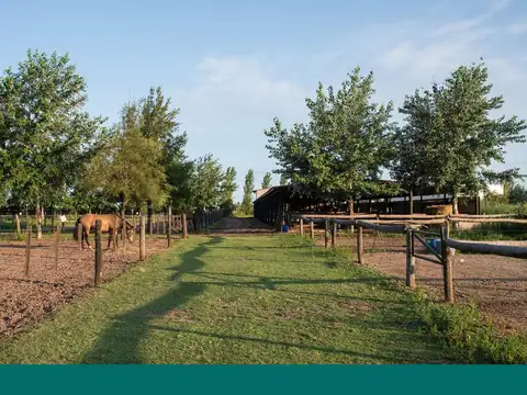 La rinconada, ibarlucea lote 59