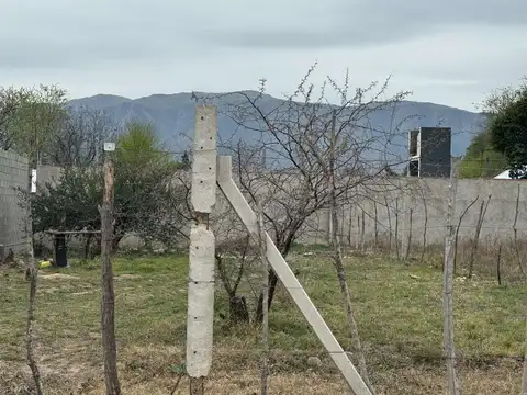 24 de Noviembre