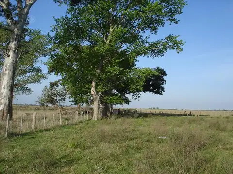 CHACRA EN VENTA, CHASCOMUS - 46 Has SOBRE RUTA 2  