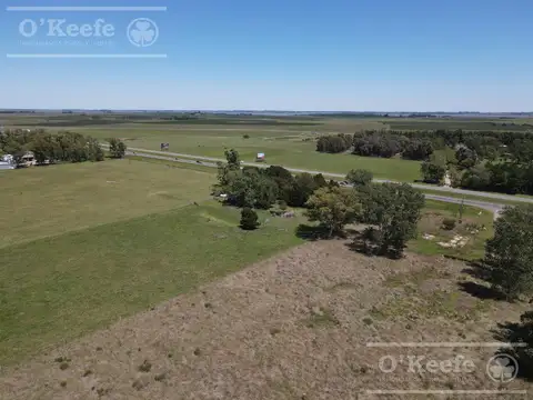 CHACRA EN VENTA, CHASCOMUS - 46 Has SOBRE RUTA 2  