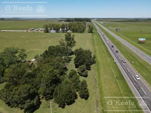 CHACRA EN VENTA, CHASCOMUS - 46 Has SOBRE RUTA 2  