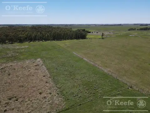 CHACRA EN VENTA, CHASCOMUS - 46 Has SOBRE RUTA 2!