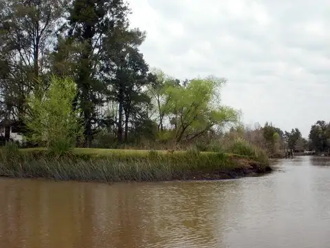 Rio / Arroyo Felicaria y Canal 2 100