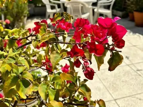 Departamento en San Telmo