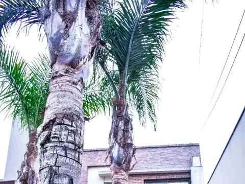 Casa en Venta con 6 cocheras