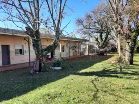 EXCELENTE CAMPO DE 4157 HAS EN URUGUAY