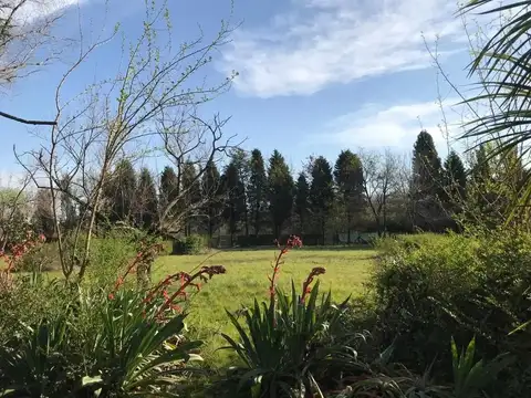 Lotes Fatima Cod: 10949