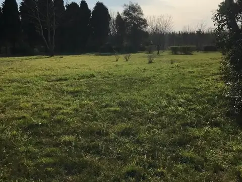 Terreno en Venta de 1240,0 m2