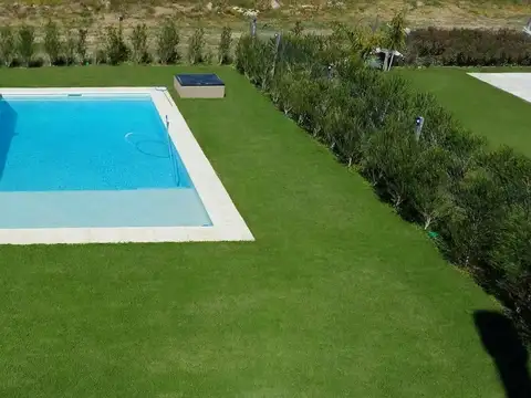 Zelaya
