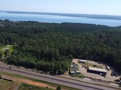 Terreno en Venta de 115000,0 m2
