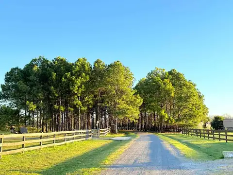 VENTA LOTE 1 ha ESTANCIA LA MACARENA CHACRA