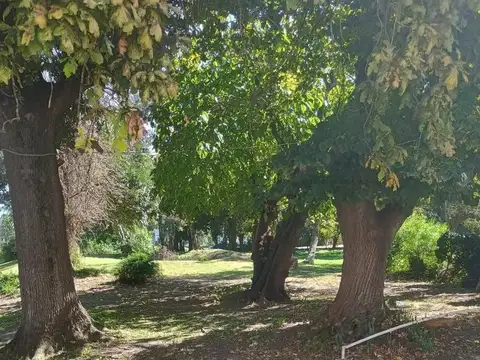 29 e/ Avenida 122 y 123