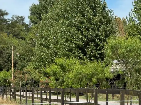 6.5 Hectáreas en venta en Castelli