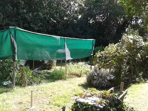 Lote Baldio en Venta