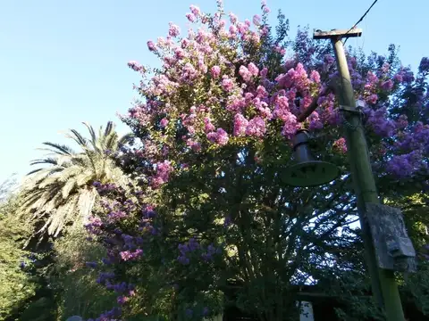 Bosch nº 844 e/Luro y Almafuerte