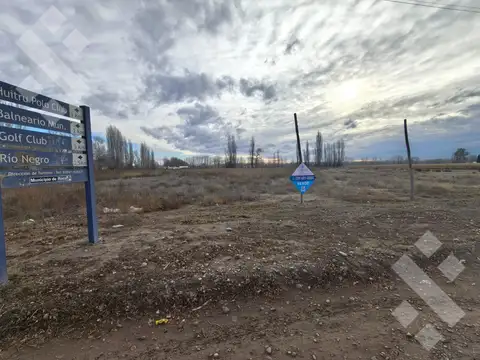 Venta terreno 3 Has,  Av. Viterbori  5000 General Roca