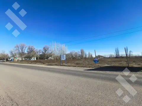 Venta terreno 3 Has,  Av. Viterbori  5000 General Roca