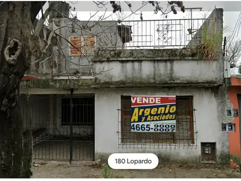 Lopardo 100