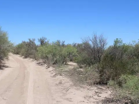 Terreno en Venta de 140000,0 m2