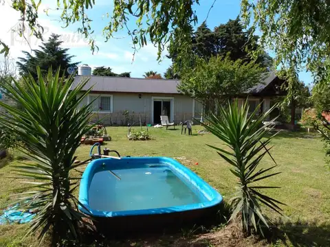 Los mirasoles al 200