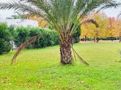 Terreno en Venta de 931,0 m2